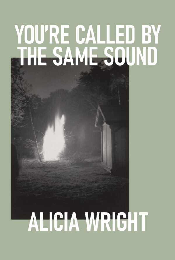 You're Called by the Same Sound by Alicia Wright